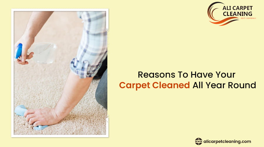 Carpet blog 1 1