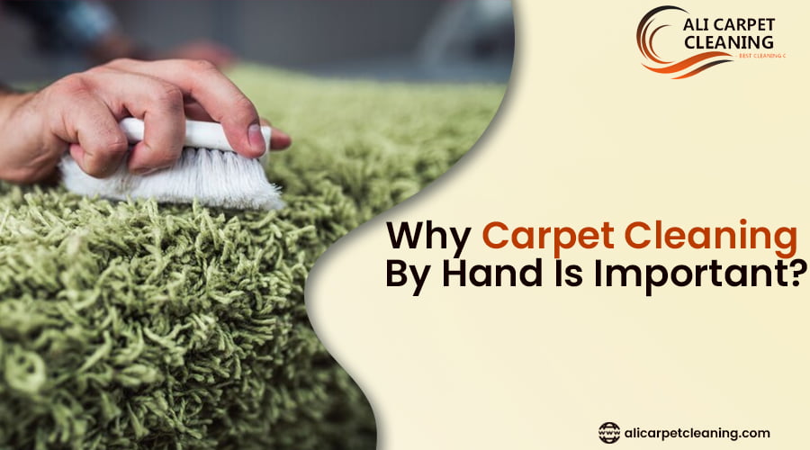 Carpet blog 2